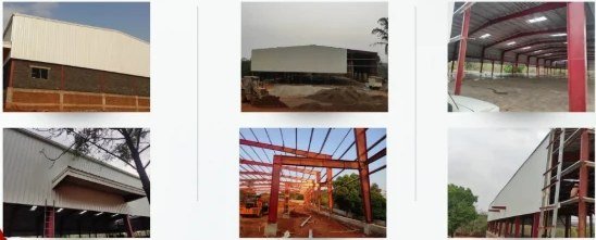 Reybier Alco Bev Pvt Ltd